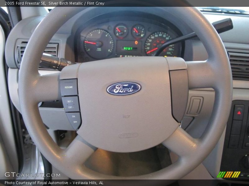 Silver Birch Metallic / Flint Grey 2005 Ford Freestar SE