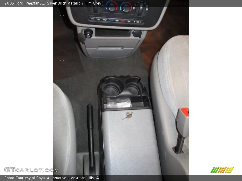 Silver Birch Metallic / Flint Grey 2005 Ford Freestar SE
