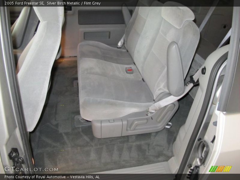 Silver Birch Metallic / Flint Grey 2005 Ford Freestar SE