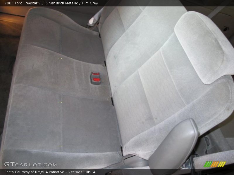 Silver Birch Metallic / Flint Grey 2005 Ford Freestar SE