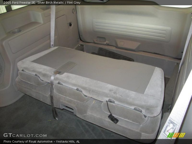 Silver Birch Metallic / Flint Grey 2005 Ford Freestar SE