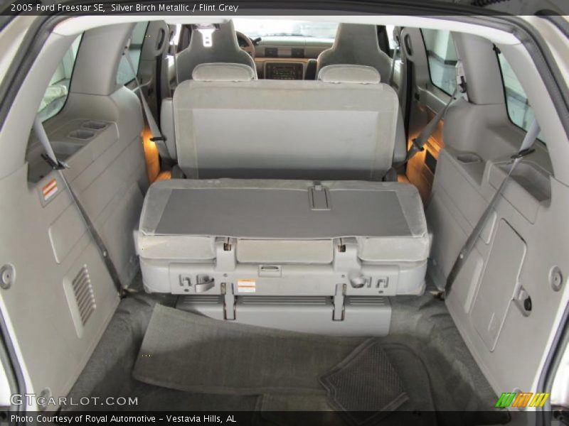 Silver Birch Metallic / Flint Grey 2005 Ford Freestar SE