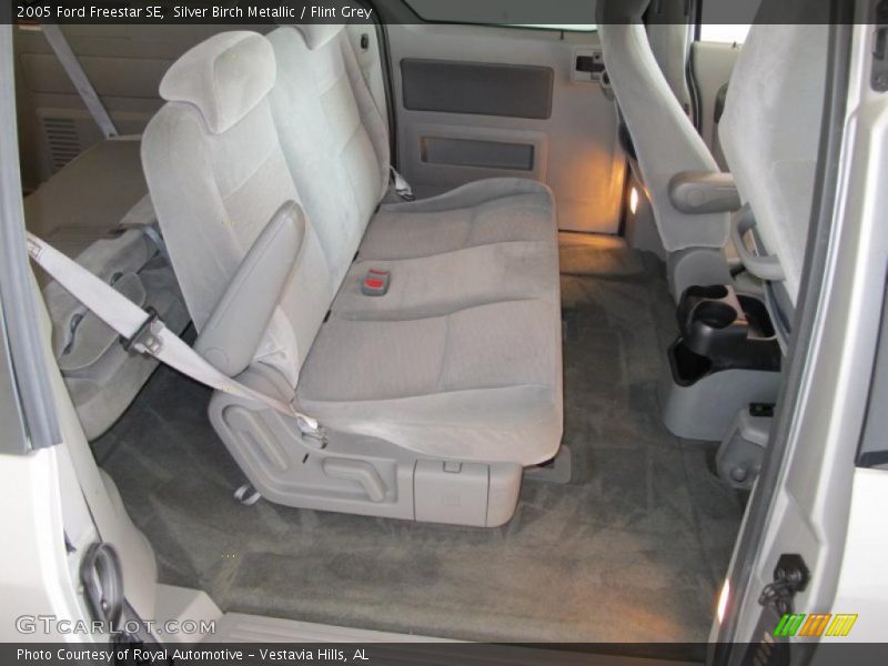 Silver Birch Metallic / Flint Grey 2005 Ford Freestar SE