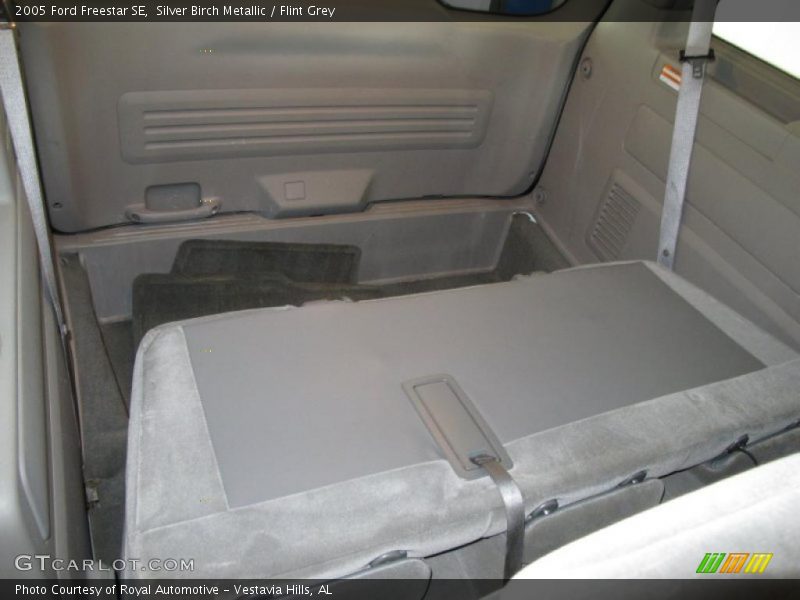 Silver Birch Metallic / Flint Grey 2005 Ford Freestar SE
