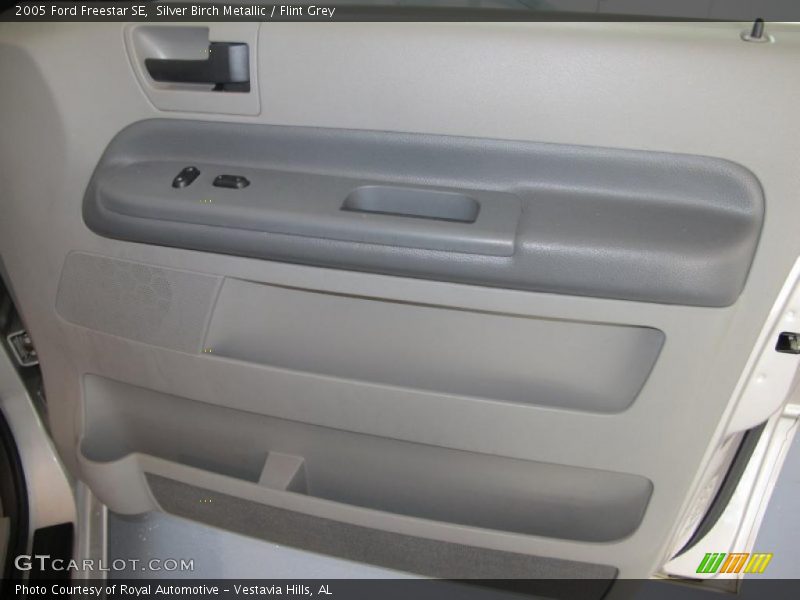 Silver Birch Metallic / Flint Grey 2005 Ford Freestar SE