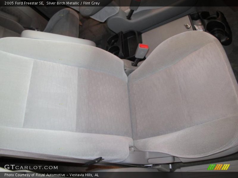 Silver Birch Metallic / Flint Grey 2005 Ford Freestar SE
