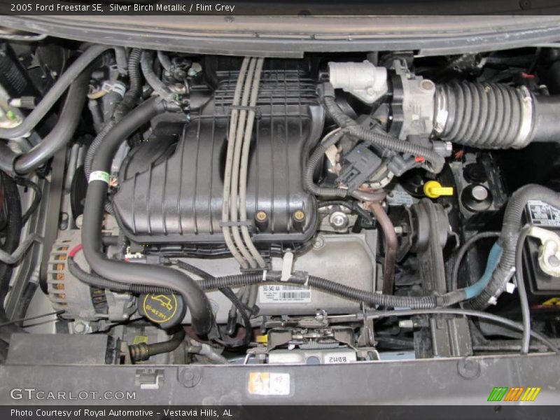 Silver Birch Metallic / Flint Grey 2005 Ford Freestar SE