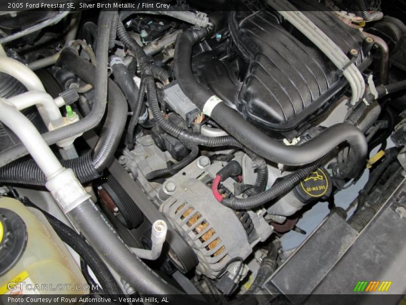 Silver Birch Metallic / Flint Grey 2005 Ford Freestar SE