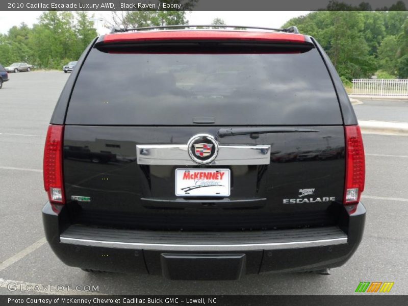 Black Raven / Ebony 2010 Cadillac Escalade Luxury AWD