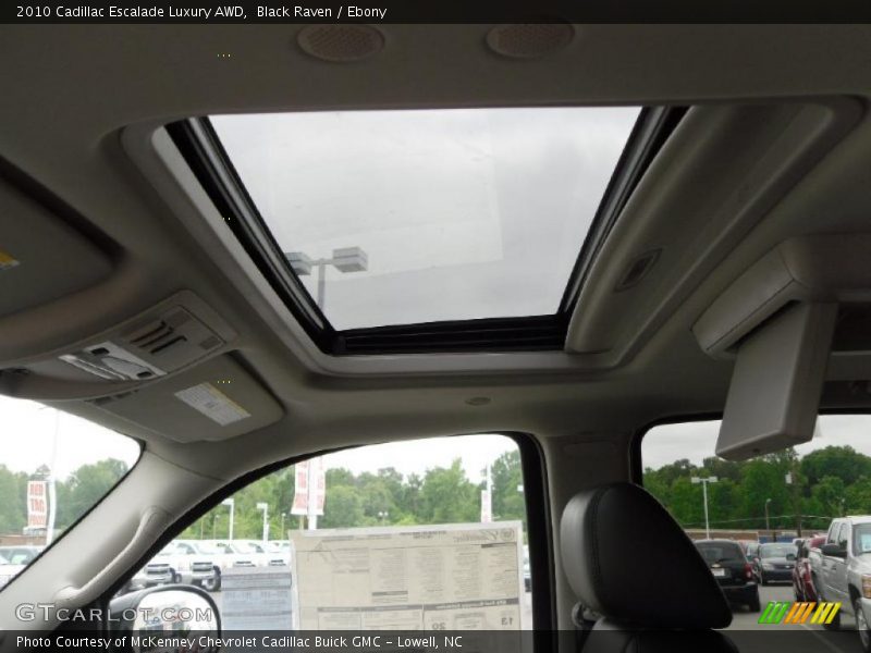 Black Raven / Ebony 2010 Cadillac Escalade Luxury AWD