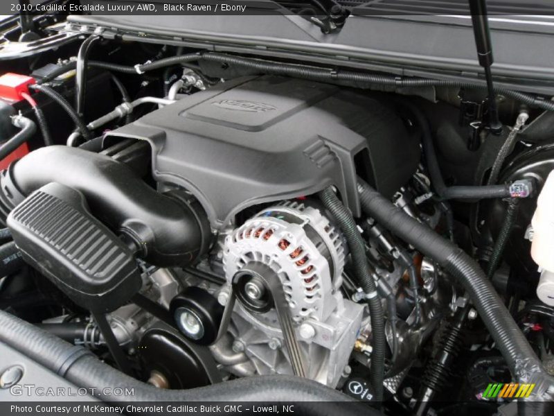Black Raven / Ebony 2010 Cadillac Escalade Luxury AWD
