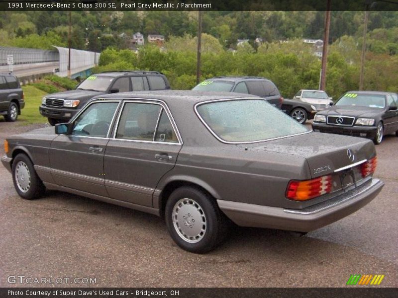 Pearl Grey Metallic / Parchment 1991 Mercedes-Benz S Class 300 SE