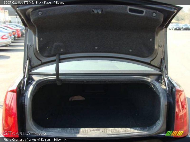 Black Raven / Ebony 2005 Cadillac STS V6