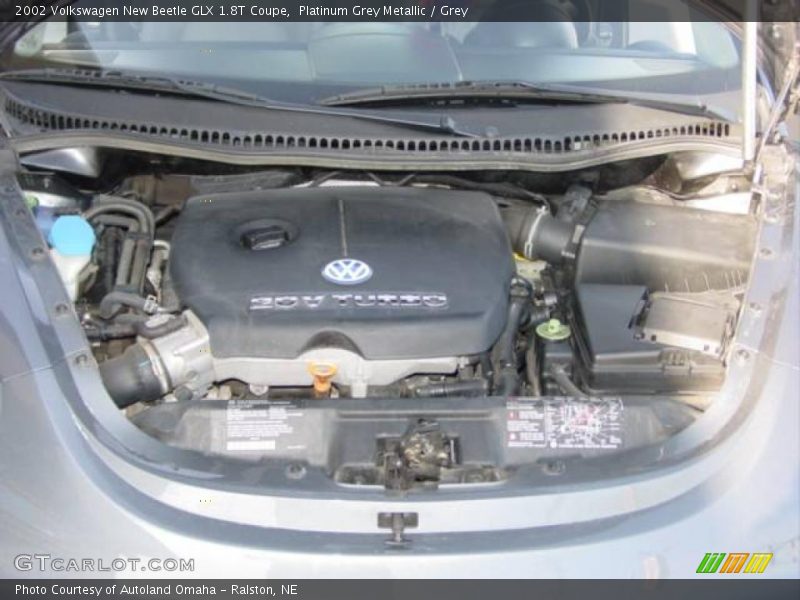 Platinum Grey Metallic / Grey 2002 Volkswagen New Beetle GLX 1.8T Coupe