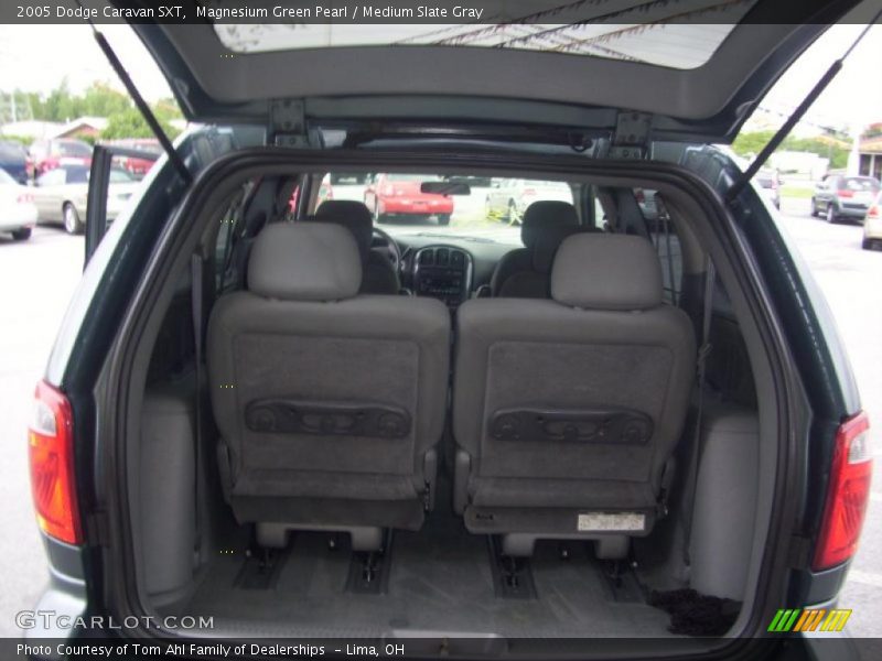 Magnesium Green Pearl / Medium Slate Gray 2005 Dodge Caravan SXT