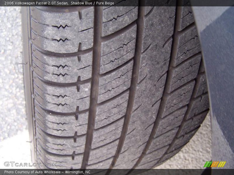 Shadow Blue / Pure Beige 2006 Volkswagen Passat 2.0T Sedan