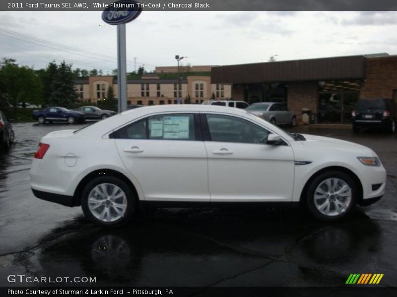 White Platinum Tri-Coat / Charcoal Black 2011 Ford Taurus SEL AWD