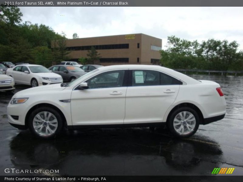 White Platinum Tri-Coat / Charcoal Black 2011 Ford Taurus SEL AWD