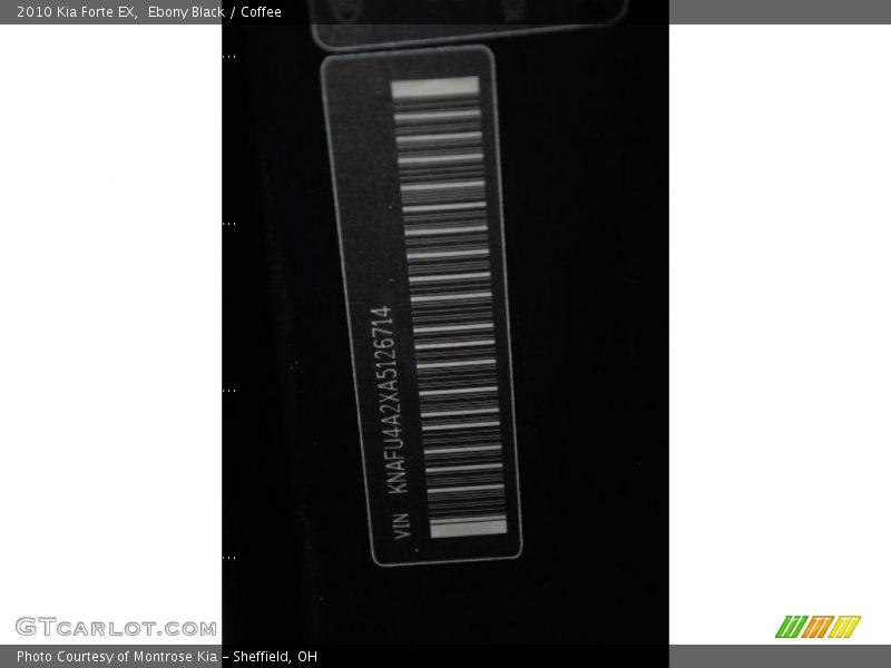 Ebony Black / Coffee 2010 Kia Forte EX
