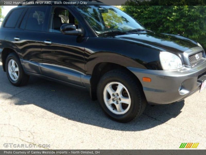 Black Obsidian / Gray 2002 Hyundai Santa Fe LX AWD