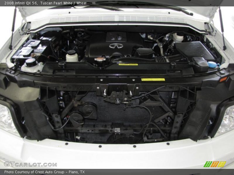 Tuscan Pearl White / Wheat 2008 Infiniti QX 56