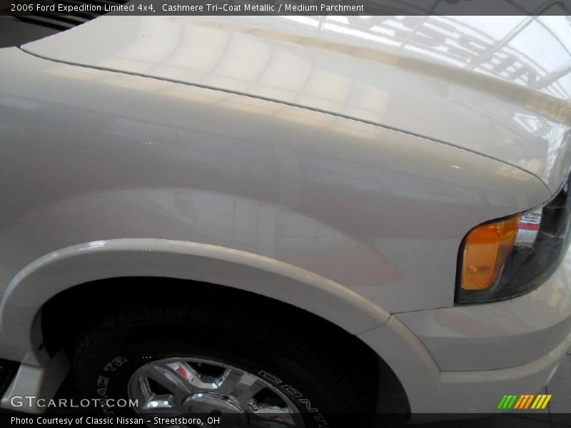Cashmere Tri-Coat Metallic / Medium Parchment 2006 Ford Expedition Limited 4x4