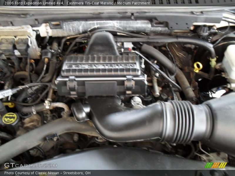 Cashmere Tri-Coat Metallic / Medium Parchment 2006 Ford Expedition Limited 4x4