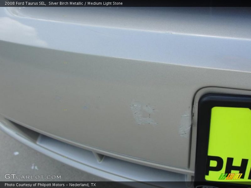 Silver Birch Metallic / Medium Light Stone 2008 Ford Taurus SEL