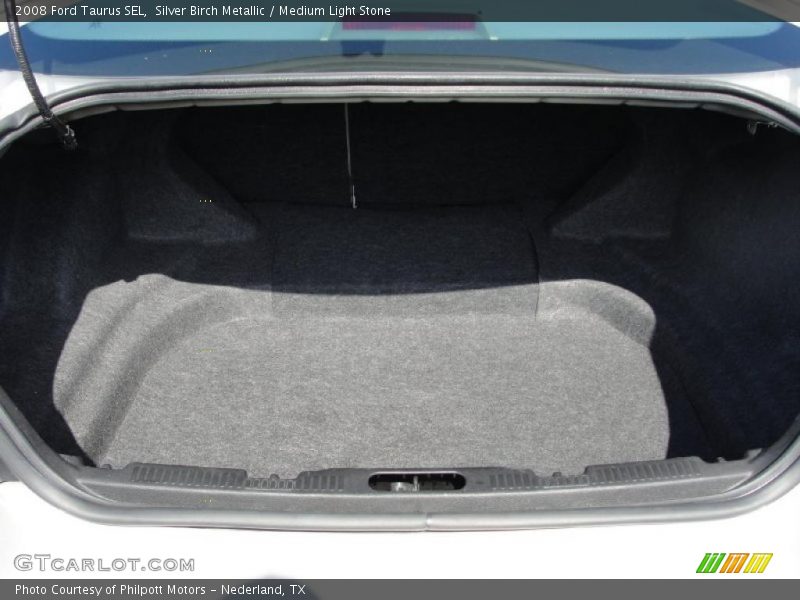 Silver Birch Metallic / Medium Light Stone 2008 Ford Taurus SEL