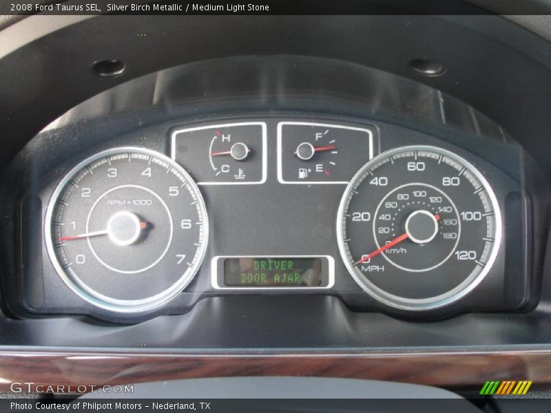 Silver Birch Metallic / Medium Light Stone 2008 Ford Taurus SEL