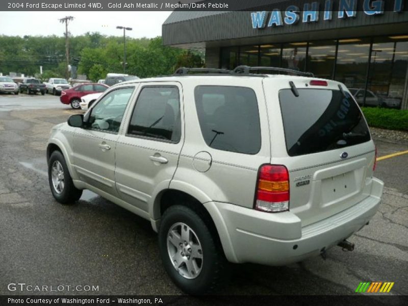 Gold Ash Metallic / Medium/Dark Pebble 2004 Ford Escape Limited 4WD