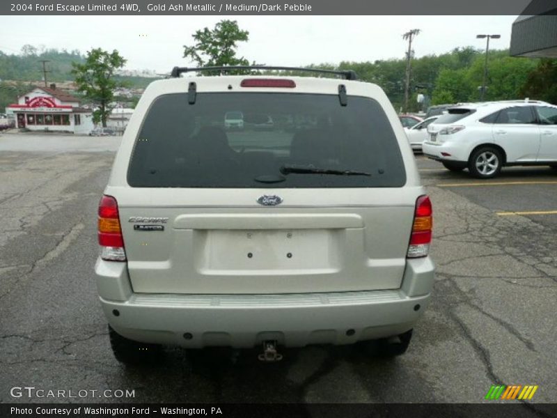 Gold Ash Metallic / Medium/Dark Pebble 2004 Ford Escape Limited 4WD