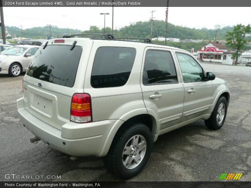 Gold Ash Metallic / Medium/Dark Pebble 2004 Ford Escape Limited 4WD