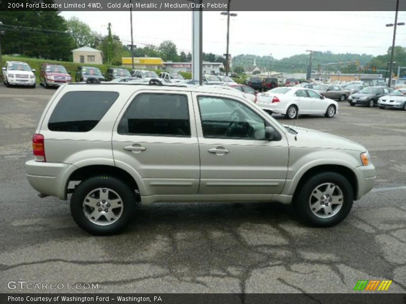 Gold Ash Metallic / Medium/Dark Pebble 2004 Ford Escape Limited 4WD