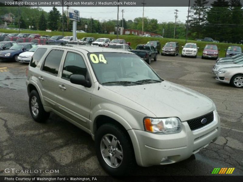 Gold Ash Metallic / Medium/Dark Pebble 2004 Ford Escape Limited 4WD