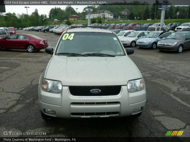 Gold Ash Metallic / Medium/Dark Pebble 2004 Ford Escape Limited 4WD