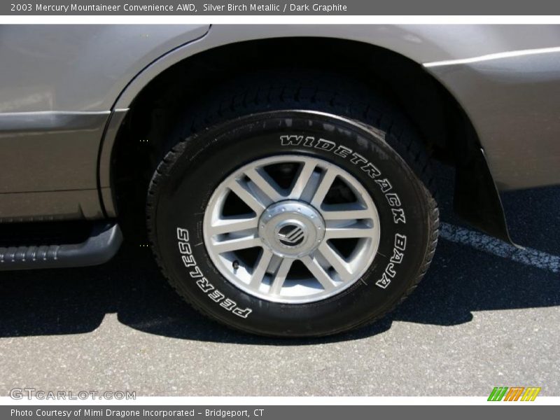 Silver Birch Metallic / Dark Graphite 2003 Mercury Mountaineer Convenience AWD
