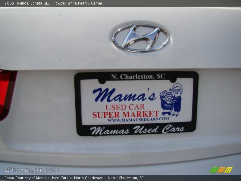 Powder White Pearl / Camel 2009 Hyundai Sonata GLS
