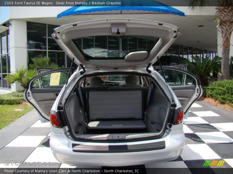 Silver Frost Metallic / Medium Graphite 2003 Ford Taurus SE Wagon
