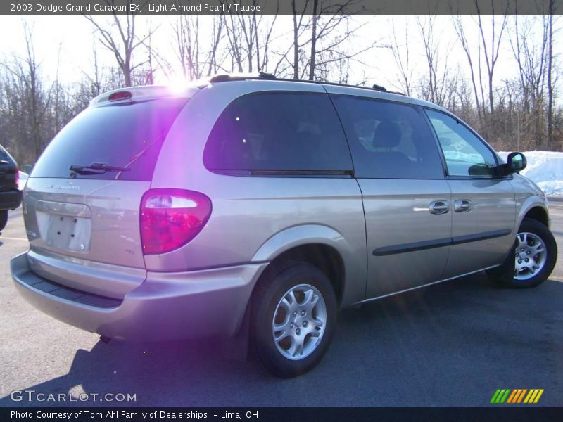 Light Almond Pearl / Taupe 2003 Dodge Grand Caravan EX