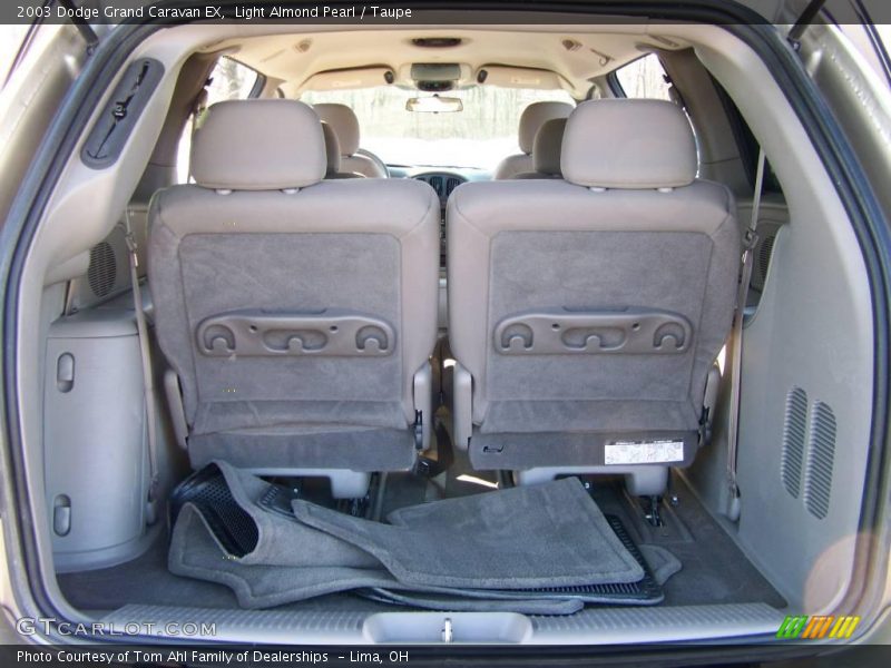 Light Almond Pearl / Taupe 2003 Dodge Grand Caravan EX