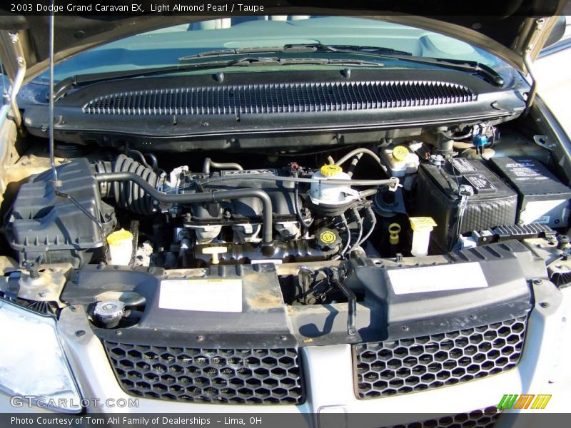 Light Almond Pearl / Taupe 2003 Dodge Grand Caravan EX