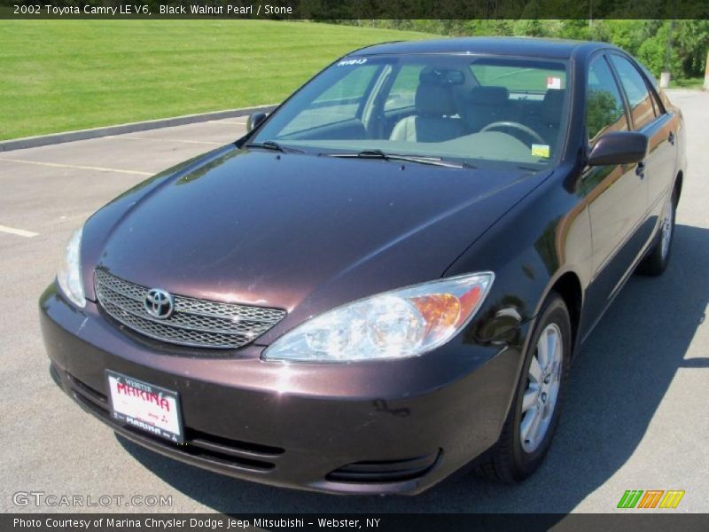 Black Walnut Pearl / Stone 2002 Toyota Camry LE V6