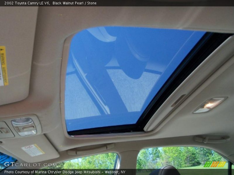 Black Walnut Pearl / Stone 2002 Toyota Camry LE V6