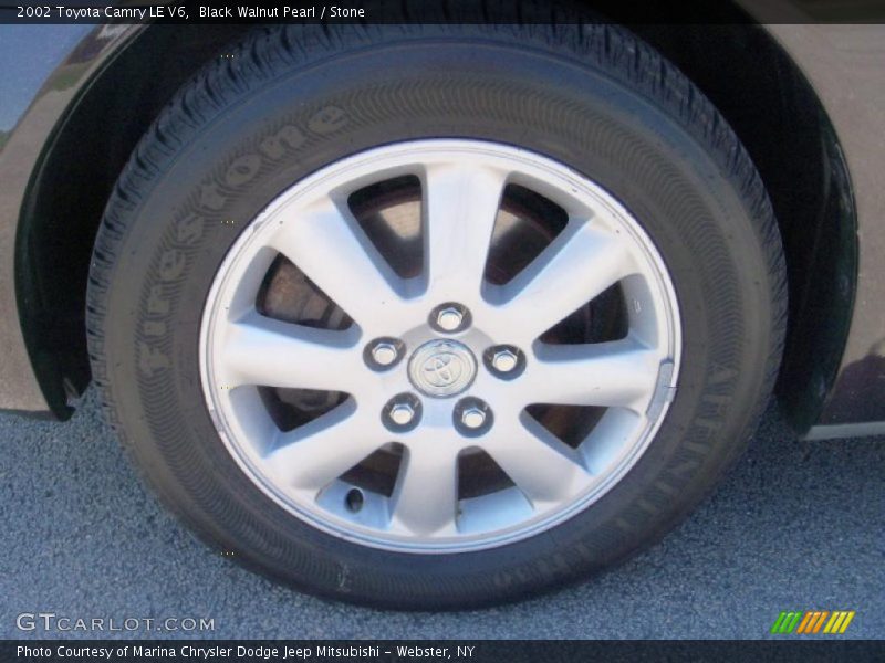 Black Walnut Pearl / Stone 2002 Toyota Camry LE V6