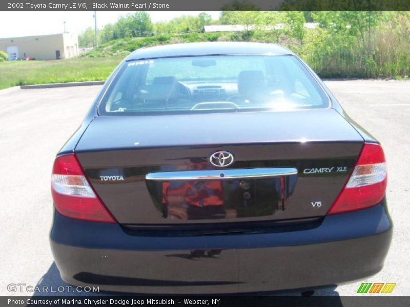 Black Walnut Pearl / Stone 2002 Toyota Camry LE V6