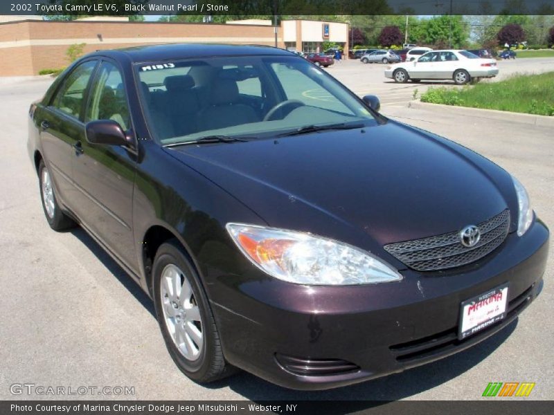 Black Walnut Pearl / Stone 2002 Toyota Camry LE V6