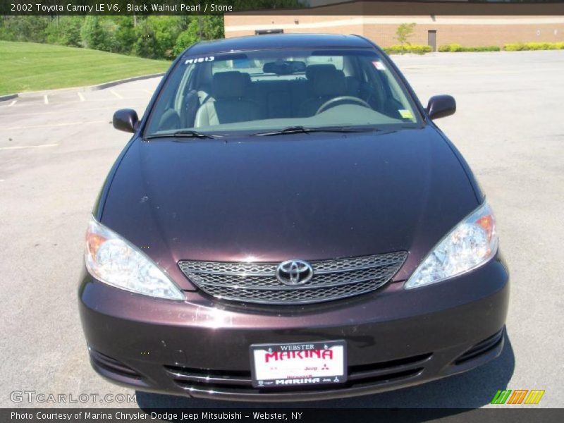 Black Walnut Pearl / Stone 2002 Toyota Camry LE V6