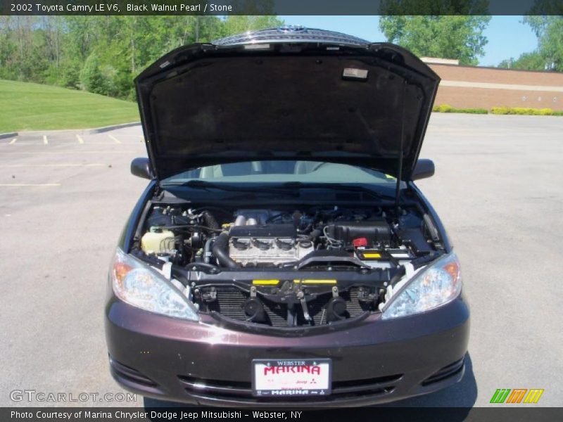 Black Walnut Pearl / Stone 2002 Toyota Camry LE V6