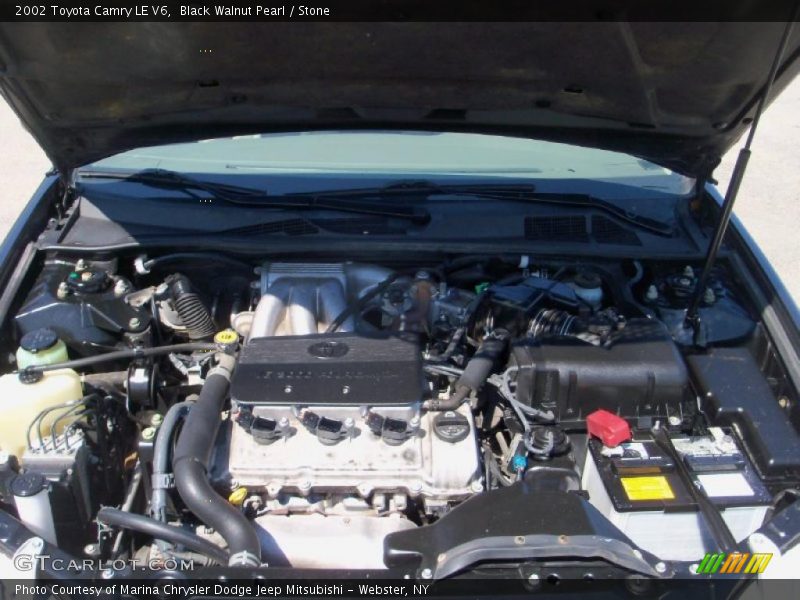 Black Walnut Pearl / Stone 2002 Toyota Camry LE V6